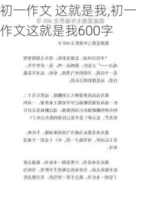 初一作文 这就是我,初一作文这就是我600字