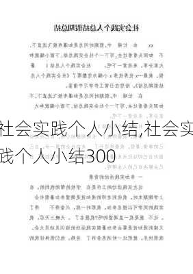 社会实践个人小结,社会实践个人小结300