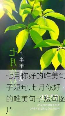 七月你好的唯美句子短句,七月你好的唯美句子短句图片