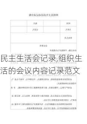 民主生活会记录,组织生活的会议内容记录范文