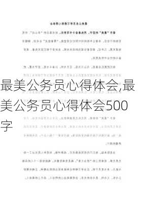 最美公务员心得体会,最美公务员心得体会500字