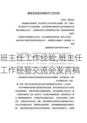 班主任工作经验,班主任工作经验交流会发言稿