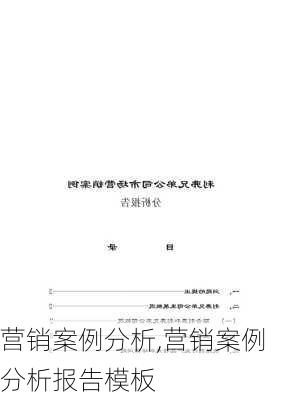 营销案例分析,营销案例分析报告模板