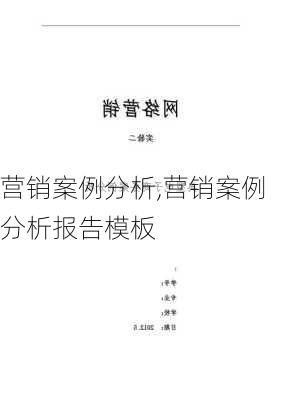 营销案例分析,营销案例分析报告模板