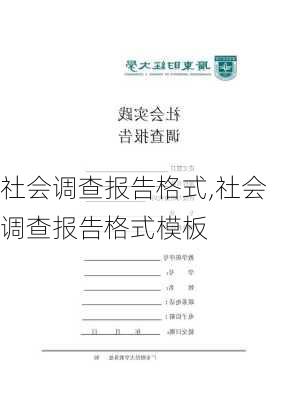 社会调查报告格式,社会调查报告格式模板