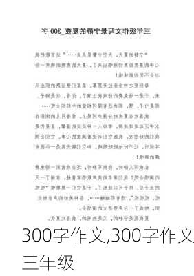 300字作文,300字作文三年级