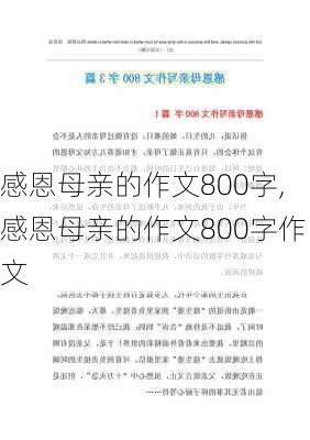 感恩母亲的作文800字,感恩母亲的作文800字作文