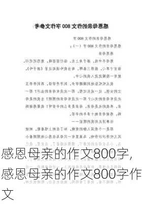 感恩母亲的作文800字,感恩母亲的作文800字作文