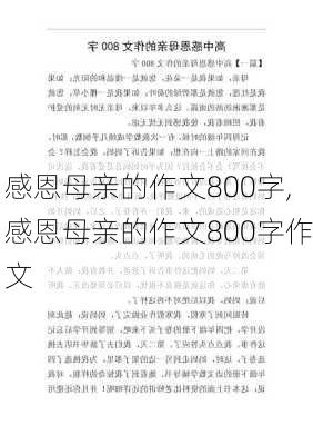 感恩母亲的作文800字,感恩母亲的作文800字作文