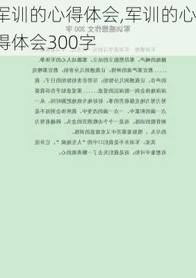 军训的心得体会,军训的心得体会300字