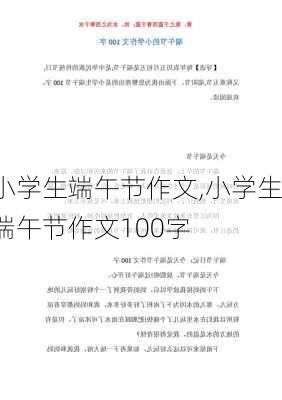 小学生端午节作文,小学生端午节作文100字