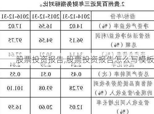 股票投资报告,股票投资报告怎么写模板