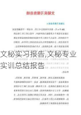 文秘实习报告,文秘专业实训总结报告