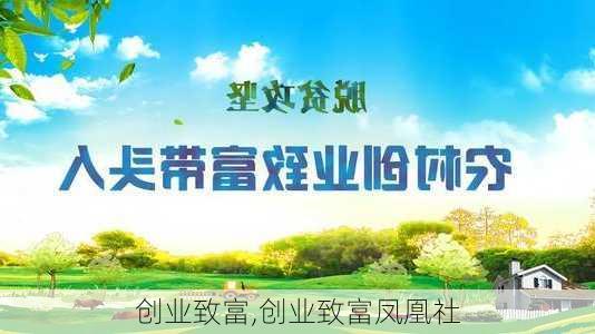 创业致富,创业致富凤凰社