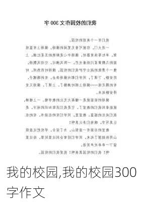 我的校园,我的校园300字作文