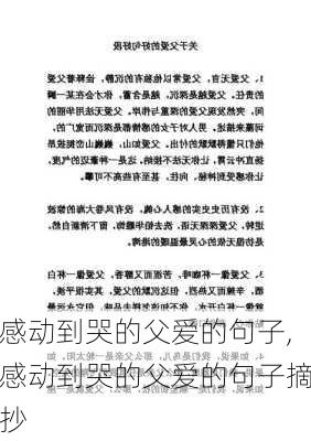 感动到哭的父爱的句子,感动到哭的父爱的句子摘抄