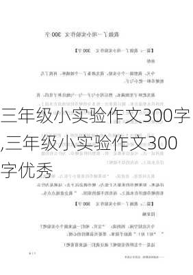 三年级小实验作文300字,三年级小实验作文300字优秀