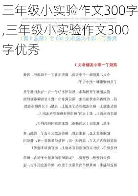 三年级小实验作文300字,三年级小实验作文300字优秀