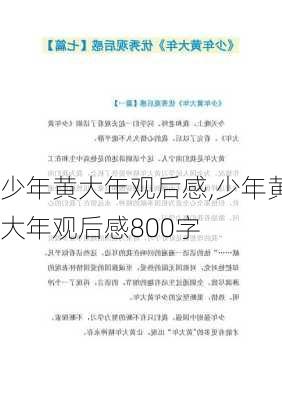 少年黄大年观后感,少年黄大年观后感800字