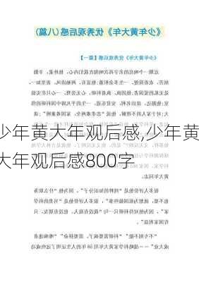 少年黄大年观后感,少年黄大年观后感800字