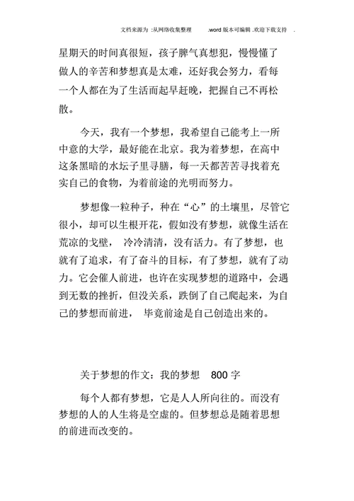 我心中的梦,我心中的梦想作文800字