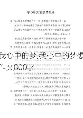 我心中的梦,我心中的梦想作文800字