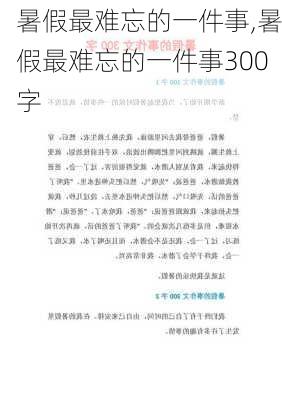 暑假最难忘的一件事,暑假最难忘的一件事300字