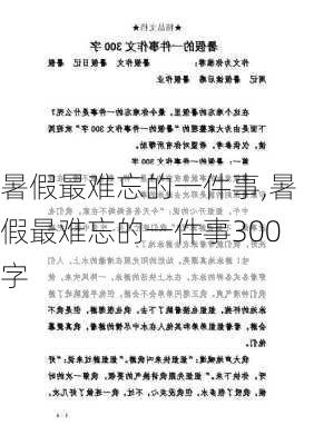 暑假最难忘的一件事,暑假最难忘的一件事300字