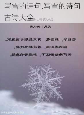 写雪的诗句,写雪的诗句古诗大全