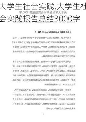 大学生社会实践,大学生社会实践报告总结3000字