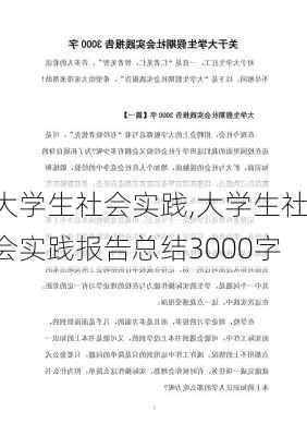 大学生社会实践,大学生社会实践报告总结3000字