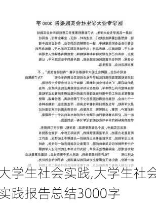 大学生社会实践,大学生社会实践报告总结3000字