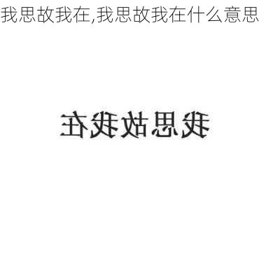 我思故我在,我思故我在什么意思