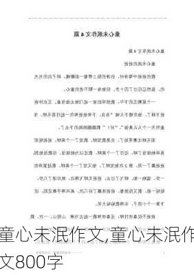 童心未泯作文,童心未泯作文800字