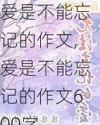 爱是不能忘记的作文,爱是不能忘记的作文600字