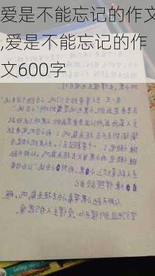 爱是不能忘记的作文,爱是不能忘记的作文600字