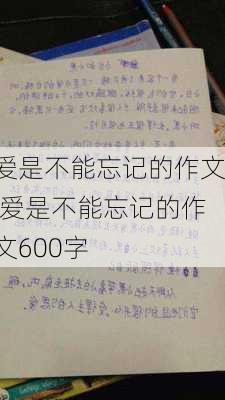 爱是不能忘记的作文,爱是不能忘记的作文600字