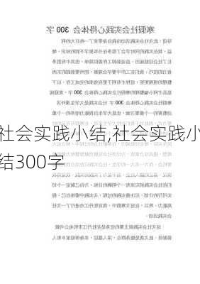 社会实践小结,社会实践小结300字