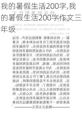 我的暑假生活200字,我的暑假生活200字作文三年级