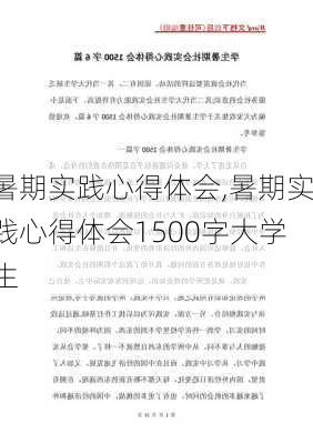 暑期实践心得体会,暑期实践心得体会1500字大学生