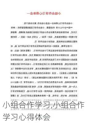 小组合作学习,小组合作学习心得体会