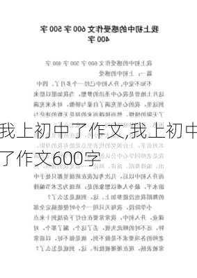 我上初中了作文,我上初中了作文600字