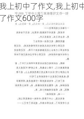 我上初中了作文,我上初中了作文600字