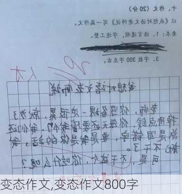 变态作文,变态作文800字