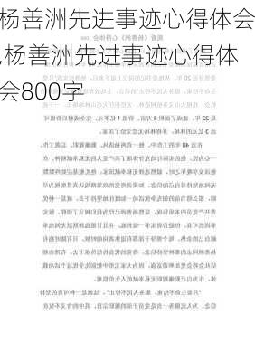 杨善洲先进事迹心得体会,杨善洲先进事迹心得体会800字