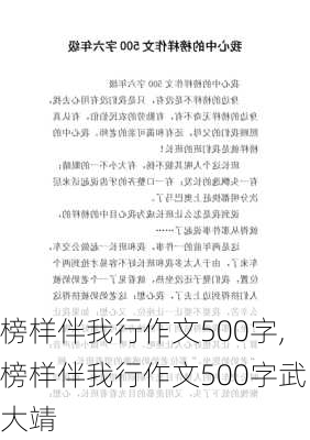 榜样伴我行作文500字,榜样伴我行作文500字武大靖