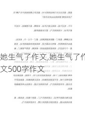 她生气了作文,她生气了作文500字作文