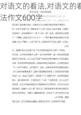 对语文的看法,对语文的看法作文600字