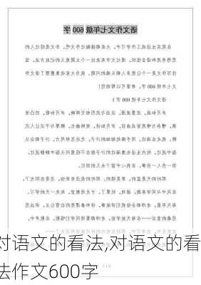 对语文的看法,对语文的看法作文600字