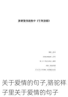 关于爱情的句子,骆驼祥子里关于爱情的句子